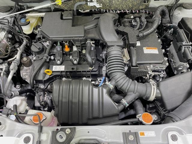 26064124_carP_l_16.jpg
