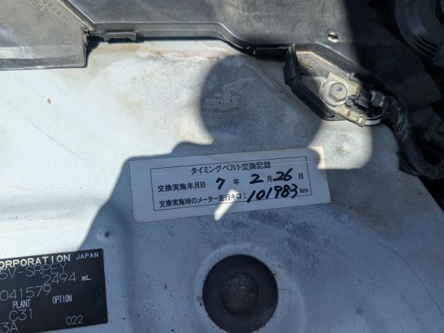 24240181_carP_l_20.jpg