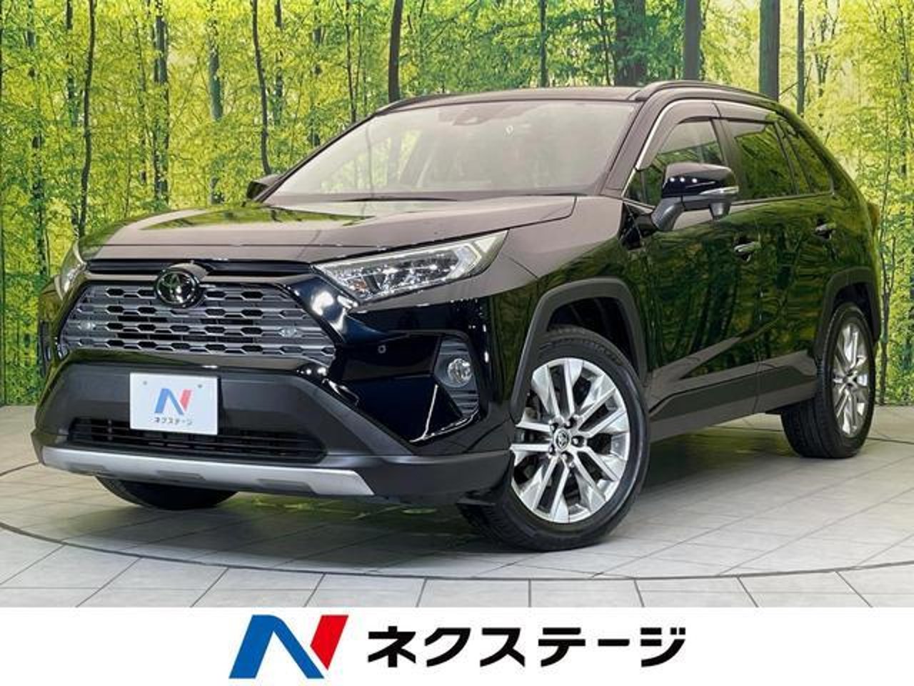 2019 Toyota Rav4, photo 1 of 1