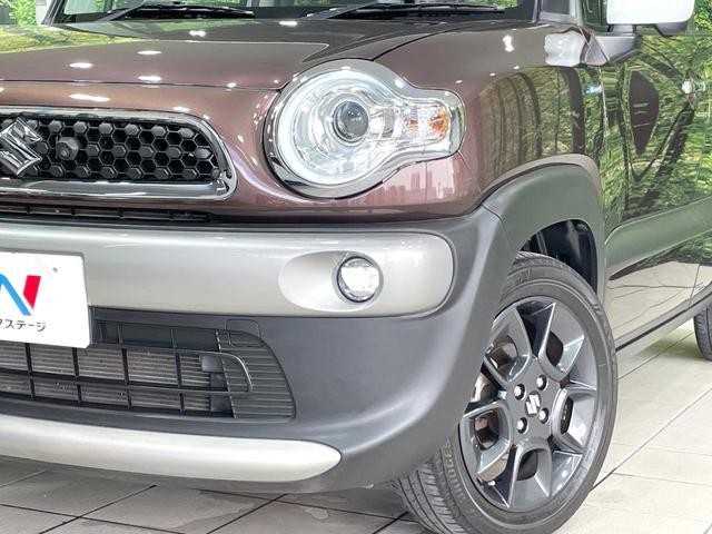 25904525_carP_l_6.jpg