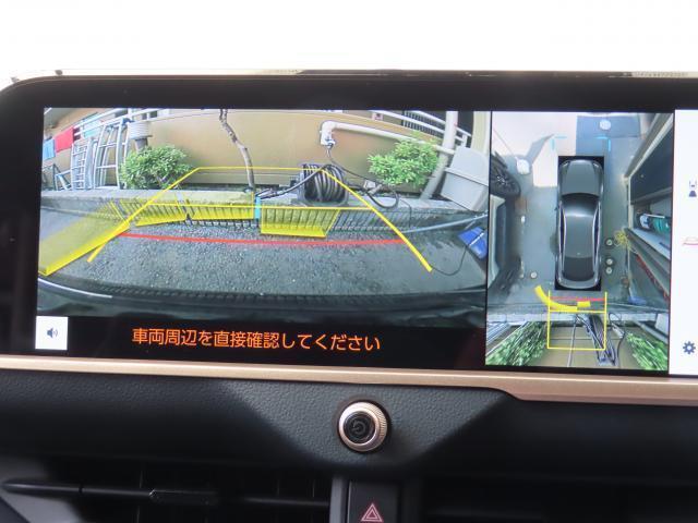 24878310_carP_l_16.jpg