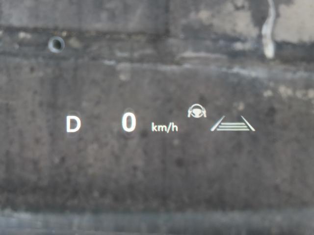 24878310_carP_l_17.jpg