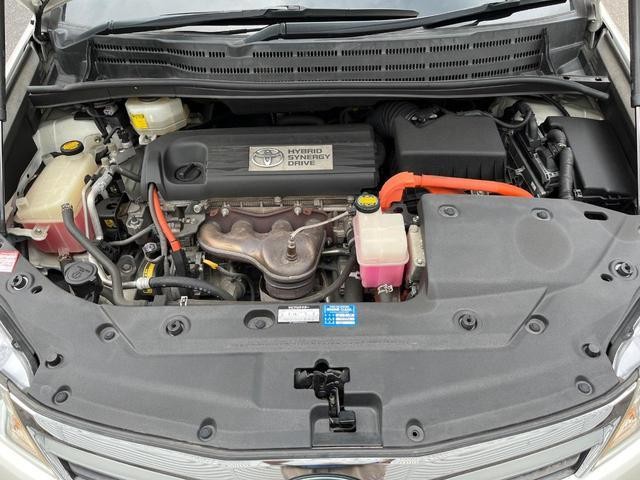 26105871_carP_l_8.jpg