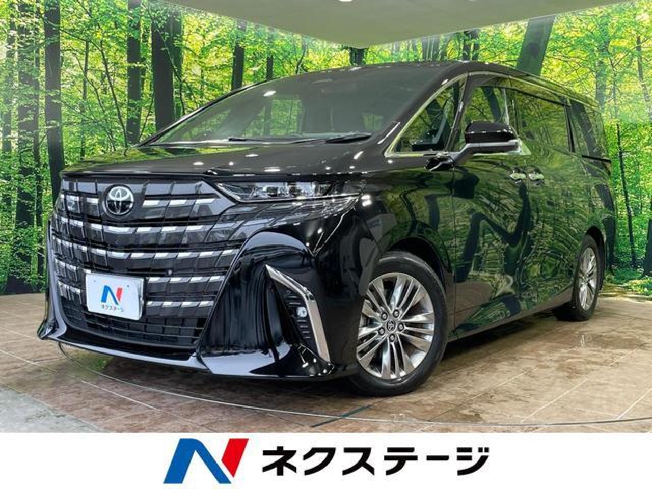 2025 Toyota Alphard, photo 1 of 1
