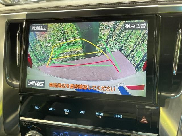 25694890_carP_l_4.jpg