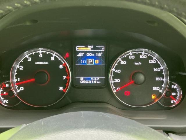 23000009_carP_l_8.jpg