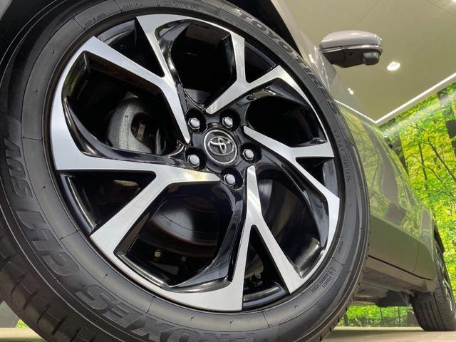 25592132_carP_l_7.jpg