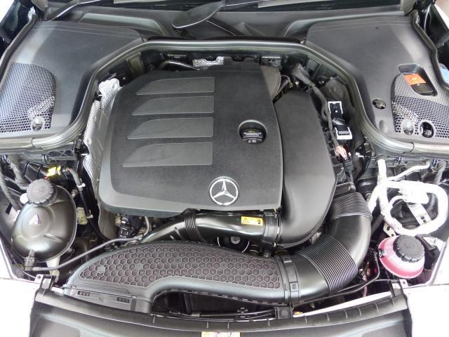 24218699_carP_l_20.jpg