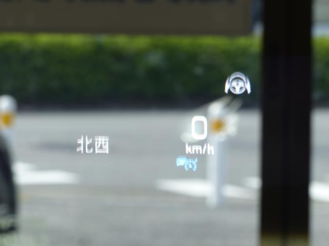 24218699_carP_l_8.jpg