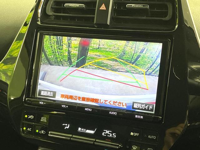 25035595_carP_l_4.jpg