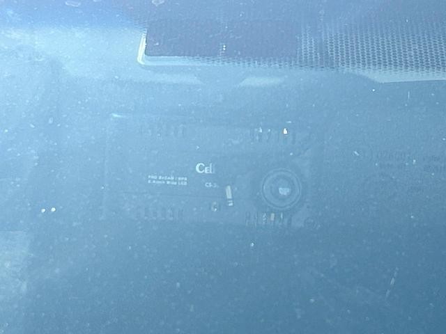 25344539_carP_l_17.jpg