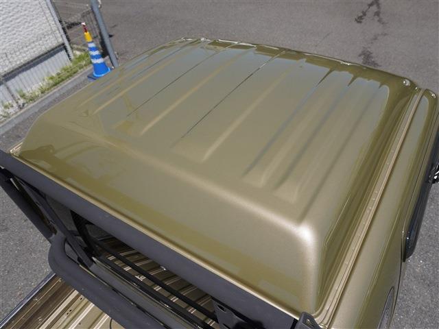 24325734_carP_l_16.jpg