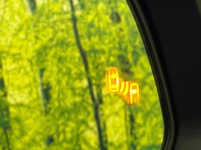 26533953_carP_l_14.jpg