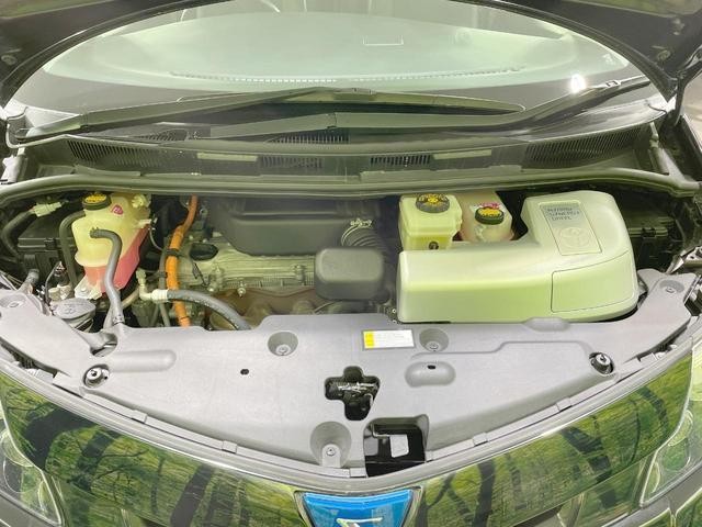 24953559_carP_l_20.jpg