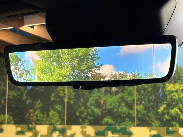 26881890_carP_l_14.jpg