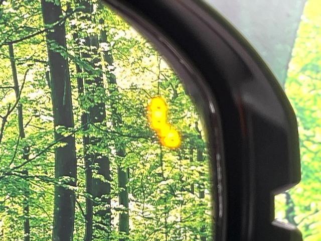 25445837_carP_l_13.jpg