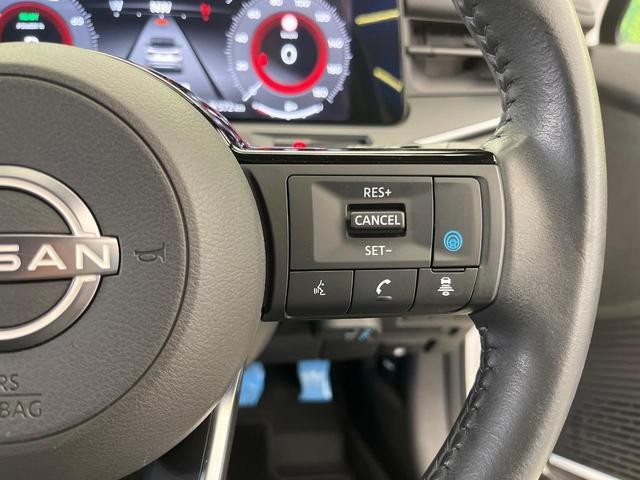 25384179_carP_l_17.jpg