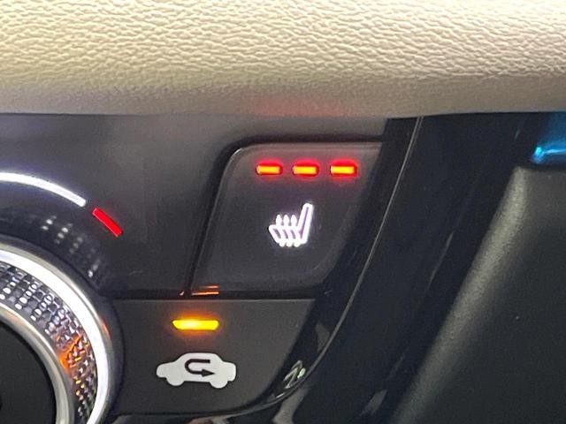 25571643_carP_l_10.jpg