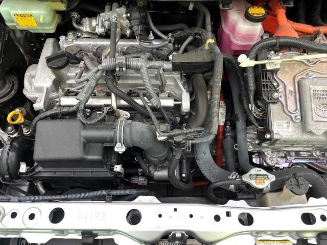 25571649_carP_l_12.jpg