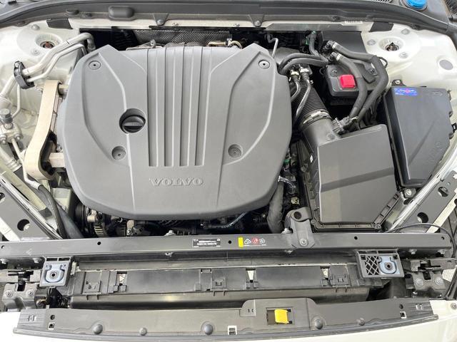 24320001_carP_l_18.jpg