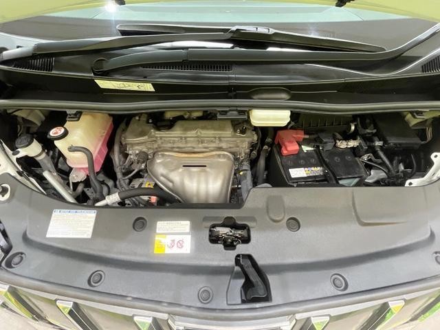 25506768_carP_l_16.jpg