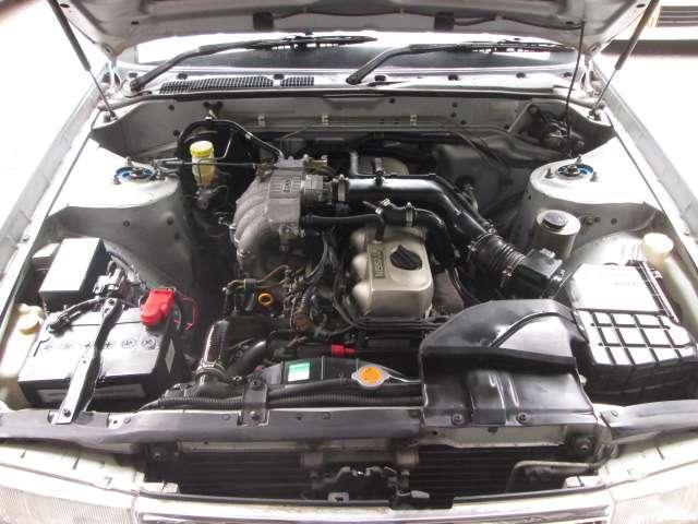 24672771_carP_l_8.jpg
