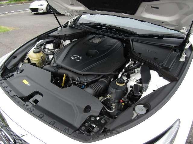 23795608_carP_l_2.jpg