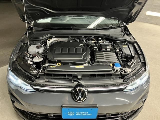 26319598_carP_l_17.jpg