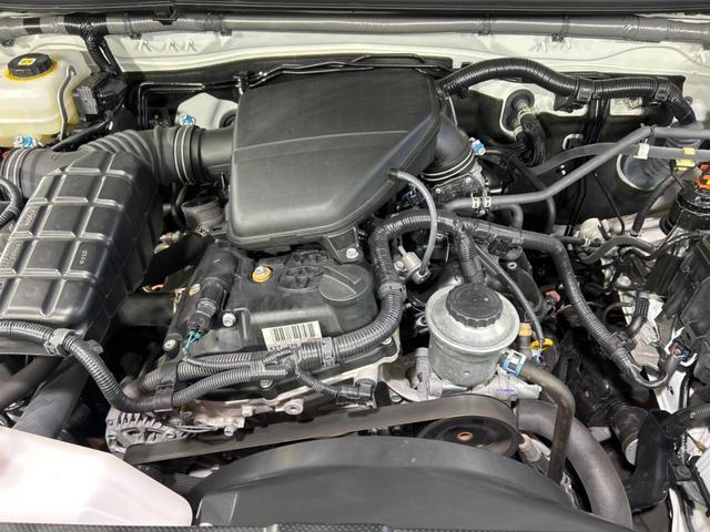 22004122_carP_l_18.jpg