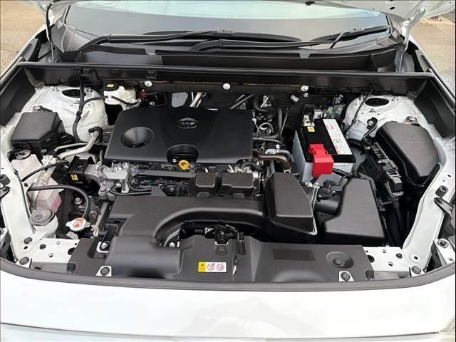 26246038_carP_l_8.jpg
