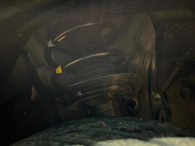 23674852_carP_l_20.jpg
