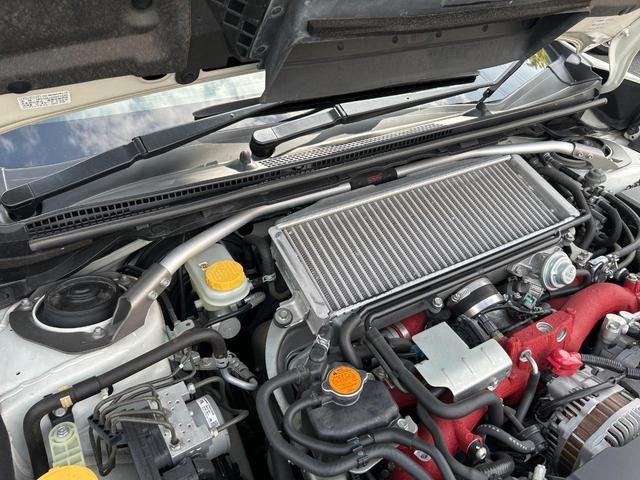 26425469_carP_l_10.jpg
