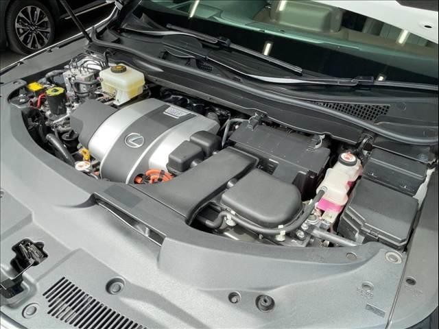 26120692_carP_l_8.jpg