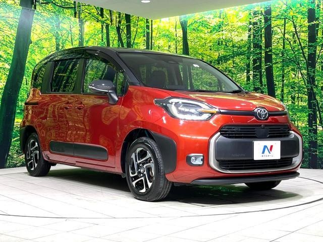25283366_carP_l_12.jpg
