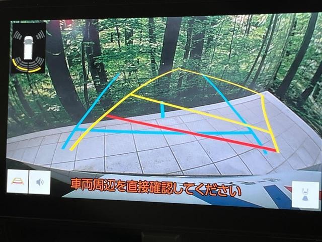 25571878_carP_l_10.jpg