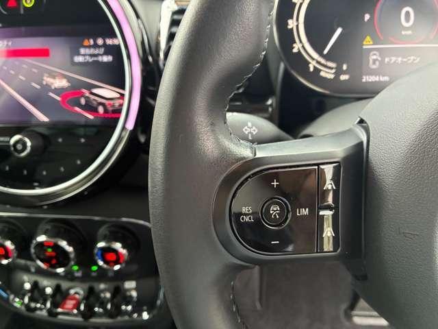 24562729_carP_l_6.jpg