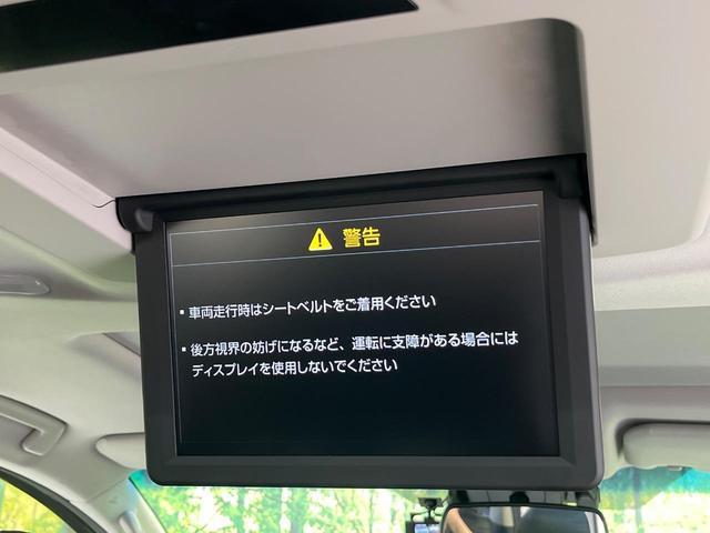 24320188_carP_l_15.jpg