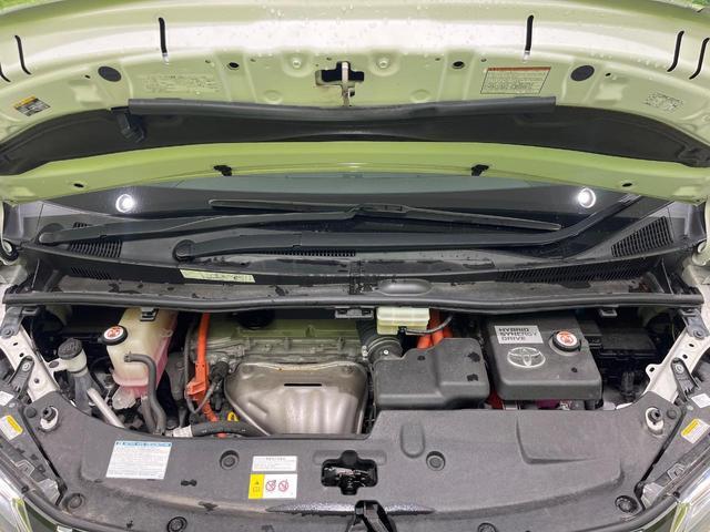 24320188_carP_l_16.jpg