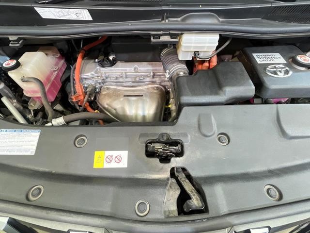 24932181_carP_l_18.jpg