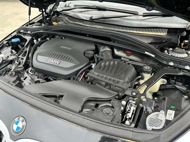23519164_carP_l_2.jpg