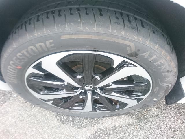 26492258_carP_l_19.jpg