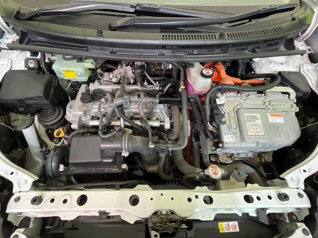 24320030_carP_l_18.jpg