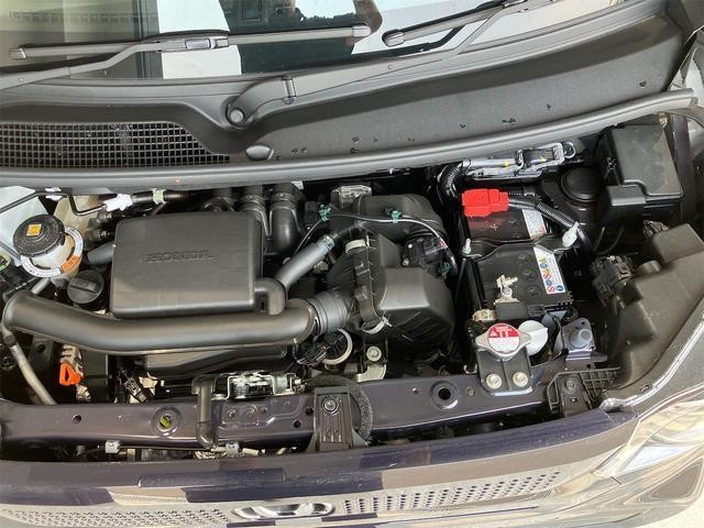 25627754_carP_l_11.jpg