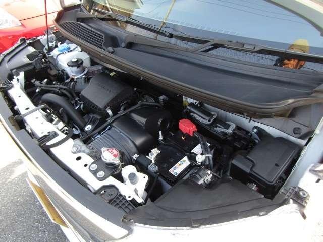 26215894_carP_l_6.jpg
