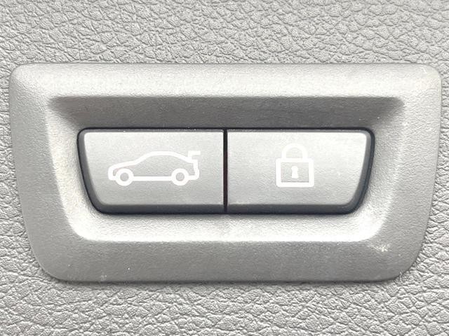 26251321_carP_l_14.jpg