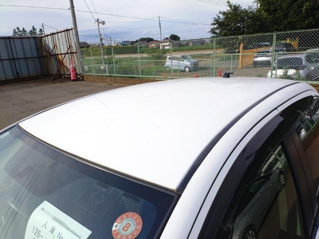 26307716_carP_l_14.jpg