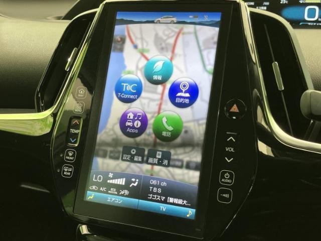 25472206_carP_l_19.jpg