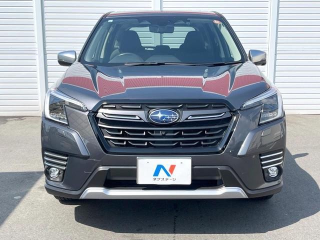 26209735_carP_l_9.jpg