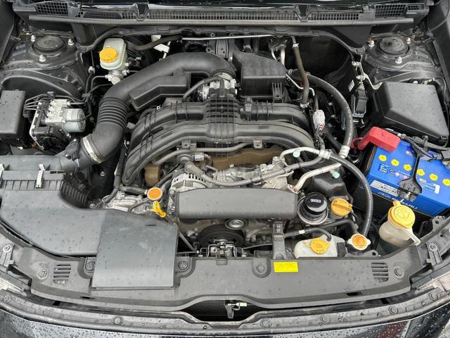 23674943_carP_l_16.jpg