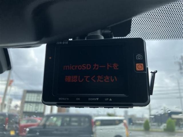 25927927_carP_l_11.jpg